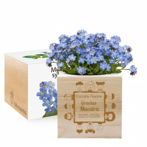 EcoCubo personalizado Gracias Maestra EcoCubo personalizado Gracias Maestra
