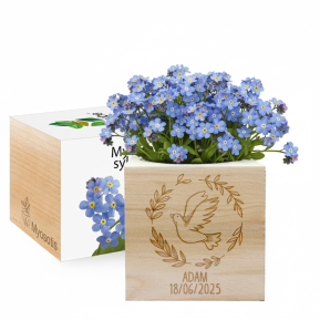 EcoCubo personalizado paloma bautizo EcoCubo personalizado paloma bautizo