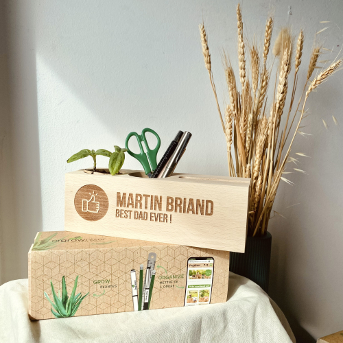 Organizador de oficina ecológico Organizador de oficina ecológico