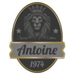 Antracita