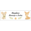 Nombre y mensaje corto