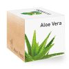 AloeVera