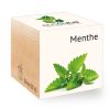 Menta