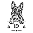Malinois