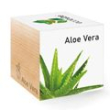 AloeVera