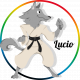 Artes marciales