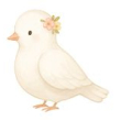 Paloma