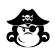 Mono Pirata