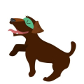 Perro 6
