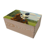 Cofre de almacenamiento