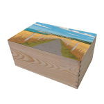 Cofre de almacenamiento