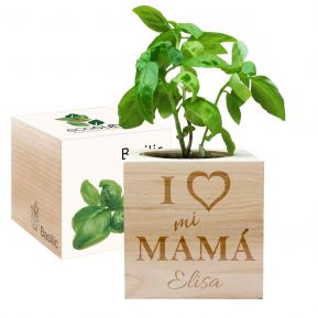 EcoCubo personalizado para mamá