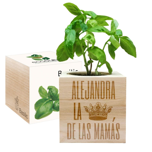 EcoCubo personalizado mamá