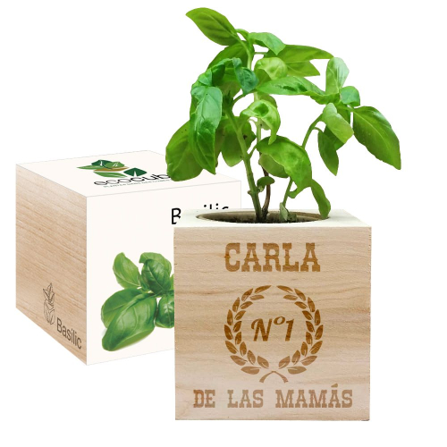 EcoCubo personalizado mamá