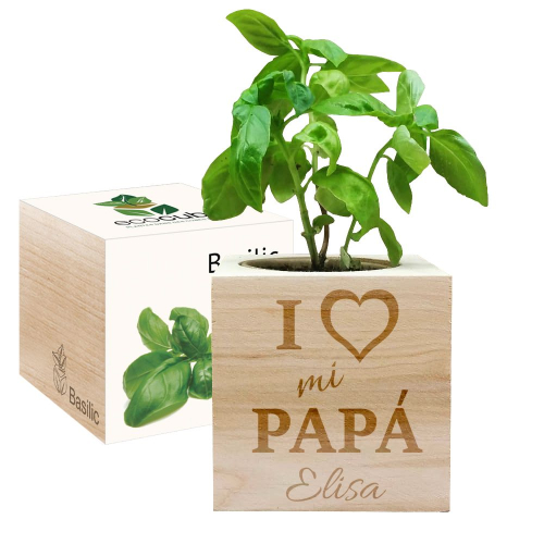 Ecocube personalizado papá