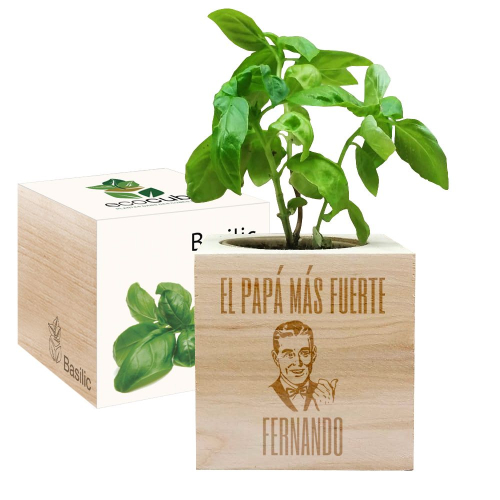 Ecocube personalizado papá