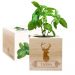 EcoCube personalizado Venado