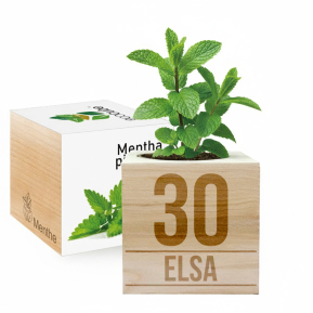 EcoCubo personalizado para cumpleaos