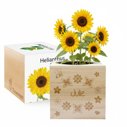 EcoCube personalizado con un nombre