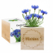 EcoCube personalizado con un nombre