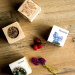 EcoCube personalizado con un nombre