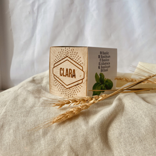 EcoCube personalizado con un nombre
