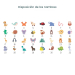 Estuche impreso GRACIAS con animales y nombres