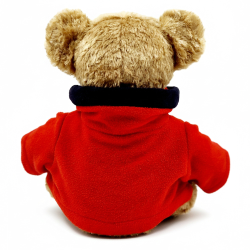 Oso de peluche personalizado