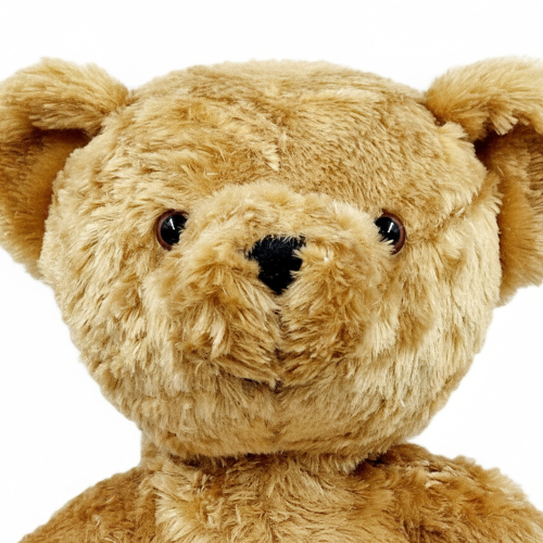 Oso de peluche personalizado