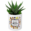 Planta personalizada Gracias Maestra