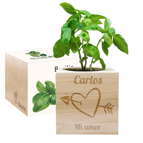 ecocubo personalizado San Valentin