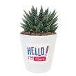 Planta con maceta personalizada HELLO