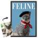 Portada de la revista FELINE a partir de una foto