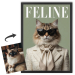 Portada de la revista FELINE a partir de una foto