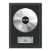 Póster enmarcado con disco de oro o platino personalizado