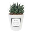 Planta con maceta personalizada Diseño