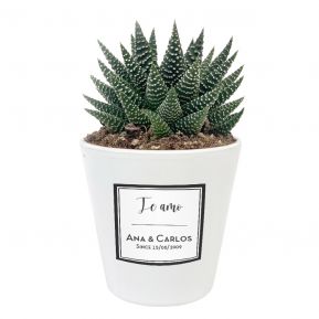 Planta con maceta personalizada Diseño