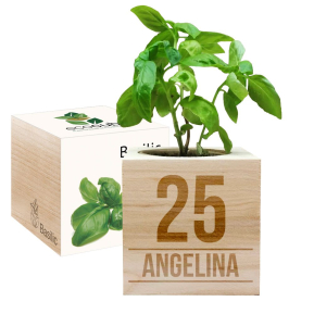 EcoCubo personalizado para cumpleaos