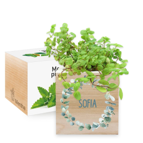 Ecocubo impreso con diseo de corona vegetal
