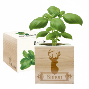 EcoCubo personalizado de madera Venado