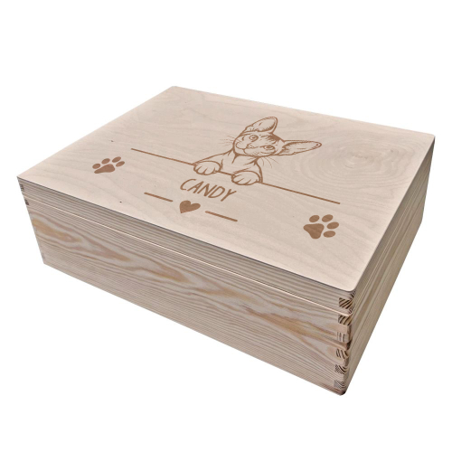Caja de almacenaje grabada para gato Caja de almacenaje grabada para gato