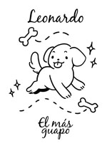 Perro