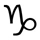 capricornio