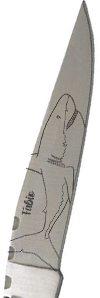 Tiburón