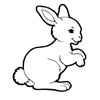 Conejo