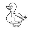 Pato