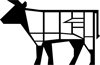 Vaca