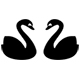Cisnes