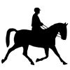 Equitación