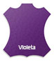 Violeta